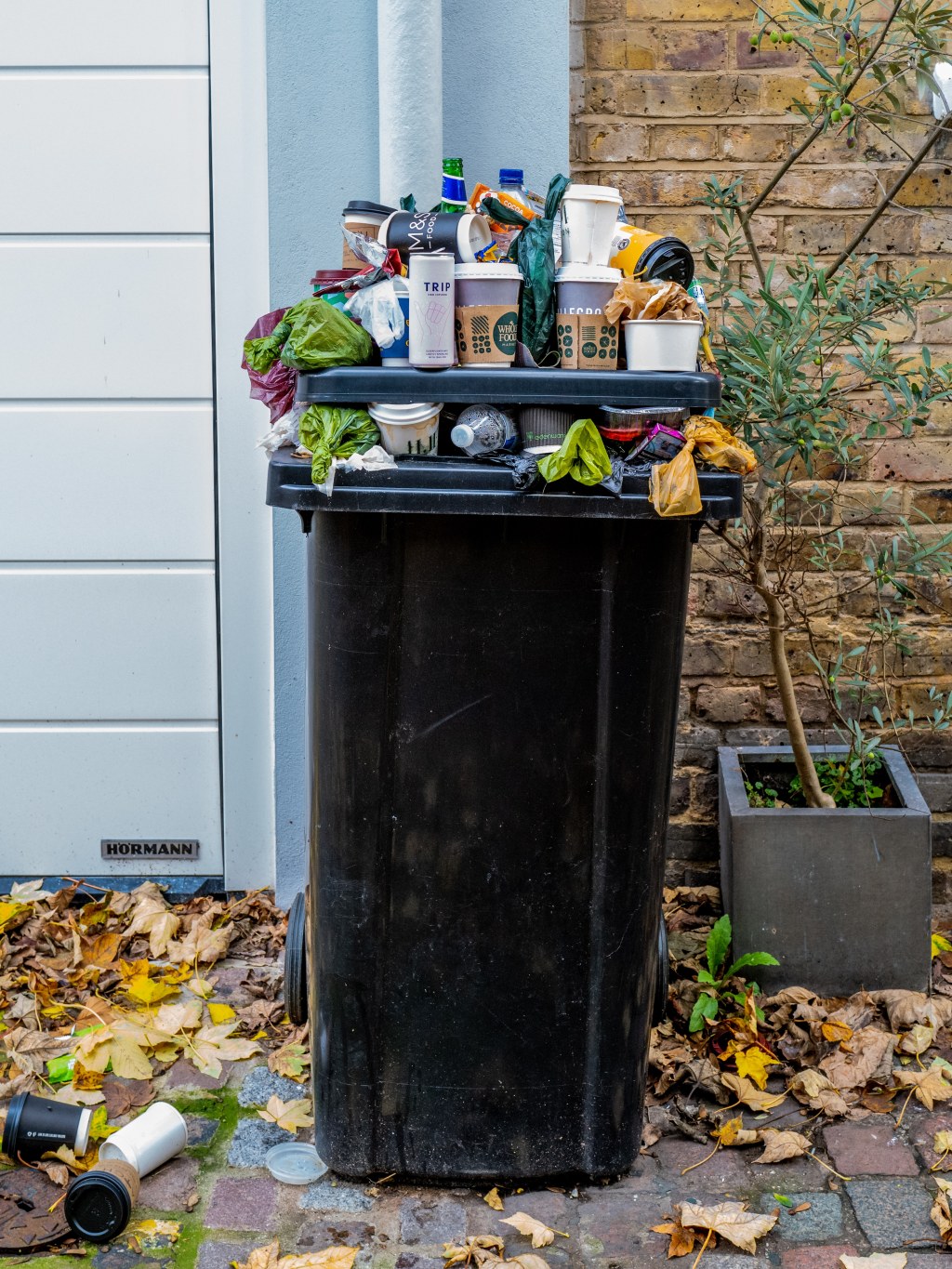 Picture of: How to separate waste correctly in Germany – ecosistant
