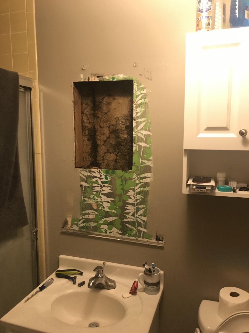 Picture of: Removed mirror in bathroom found lots of mold in the wall